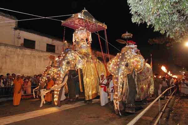 President-views-Final-Randoli-Perahera-Kandy-2