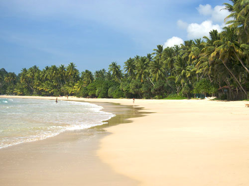 mirissa 6