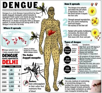 dengue