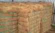 Sri Lanka tops the Brown Fiber Export Market