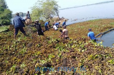 Navy initiates cleaning of Parakrama Samudraya