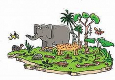 SL needs  Rs. 30 bn to achieve biodiversity targets