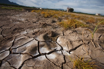 Salt Has Degraded 20 Percent of World&#039;s Farmland