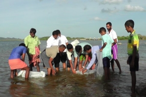 Stocking of fingerlings in Tanks to empower rural communities