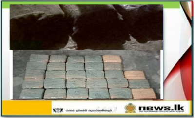 Navy takes hold of Kerala cannabis worth over Rs. 27 million of street value in Jaffna