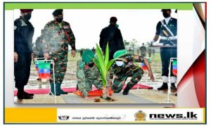 51 Division Plants 800 Coconut Saplings inside Palaly Army Farm