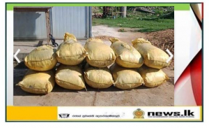 Navy seizes 710kg of smuggled dried turmeric and over 03kg of Kerala cannabis at Erukkulampiddi