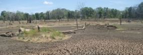 Dry rations for drought affected in A’pura District