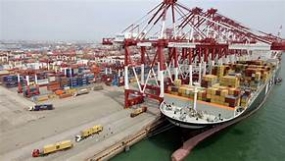 Colombo Port’s transshipment volumes up by 19.8 %