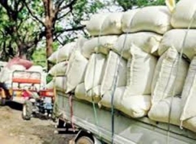 Maha paddy purchased in Polonnaruwa in progress