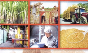 Sri Lanka&#039;s Four Sugar Industry Plants to be developed