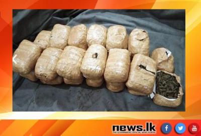 Two (02) suspects with over 54kg of Kerala cannabis apprehended