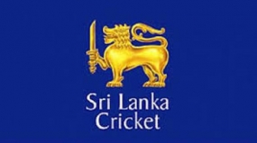 Sri Lanka Cricket elections before May 31