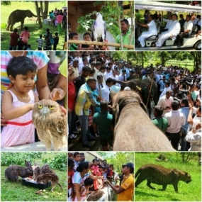 Free Entrance to Pinnawela Zoological Gardens