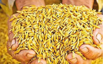 Rs. 500Mn allocated for paddy purchase