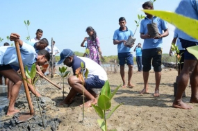 Navy campaigns to protect marine environment