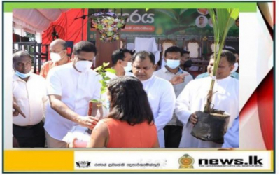 The Program to plant 2 million saplings themed &quot;Surakumata Parisaraya&quot; commences