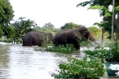 Heavy floods in  North and East displace thousands, reservoirs overflow