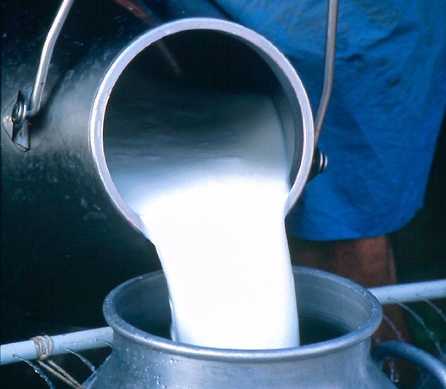 Sri Lanka to increase annual milk production to 550 mn. litres by 2016