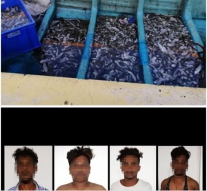 Navy apprehends 04 persons for illegal harvesting of sea cucumber