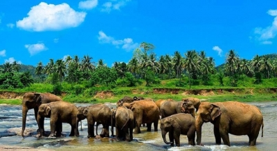 Sri Lanka, Asia’s Best Nation for Wildlife Tourism