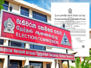 Extra Ordinary Gazette - Local Authorities Elections Ordinance