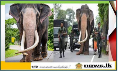 Declaration of “Nedungamuwe Raja” Tusker as a national heritage.