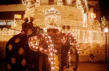 Historic Kandy Esala Perahera will begin on July 27