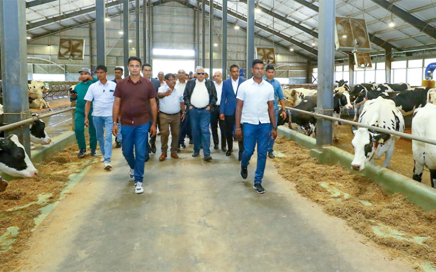 President Visits Ambewela Dairy Farm; Directs to Enhance Tourist Facilities