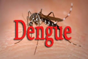 Dengue on the rise